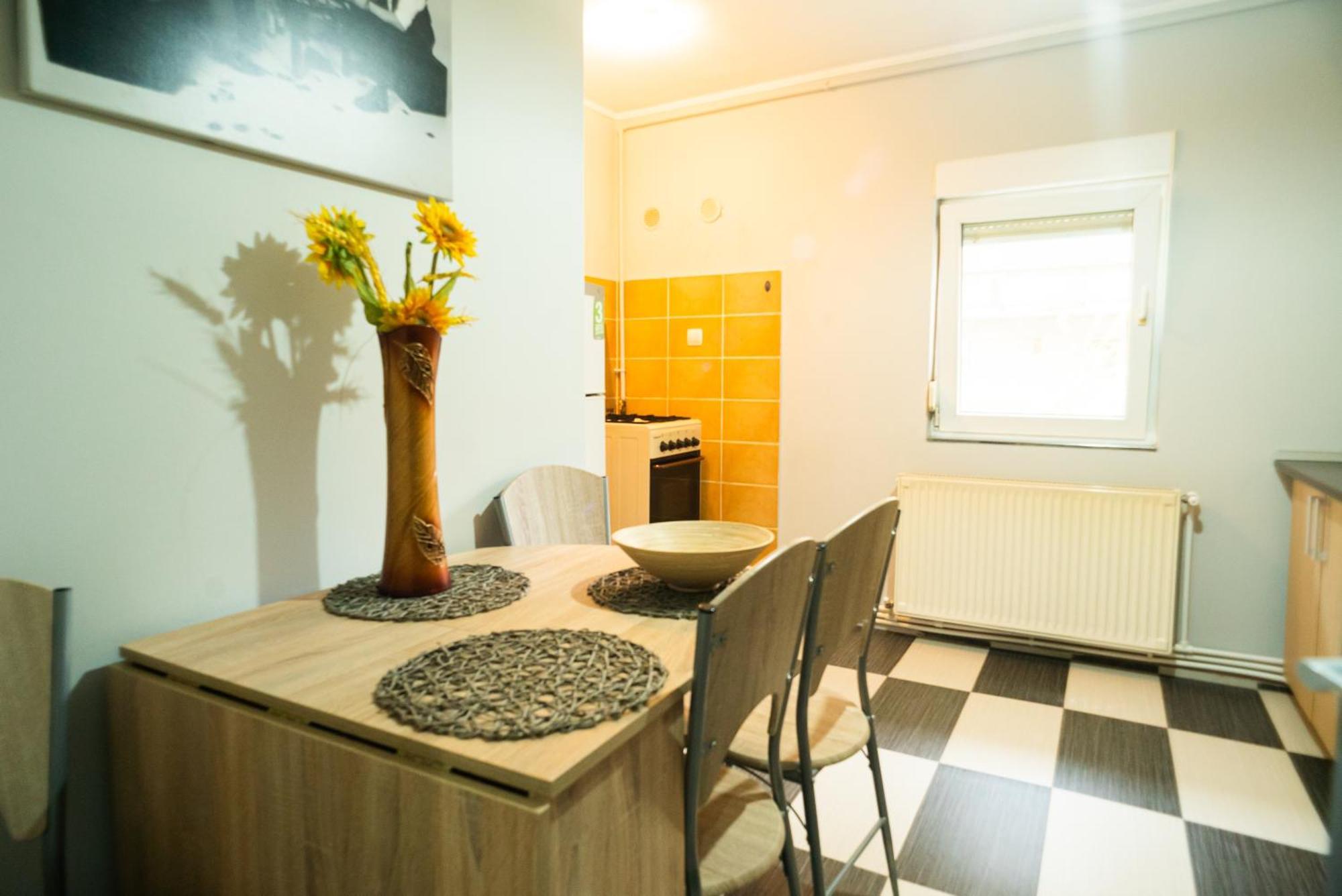 Apartament Dacul 胡内多阿拉 外观 照片